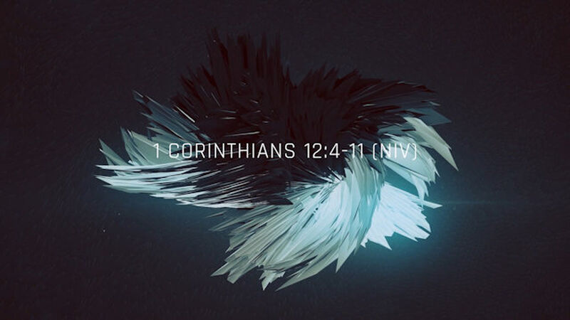 Scripture Video Three Pack